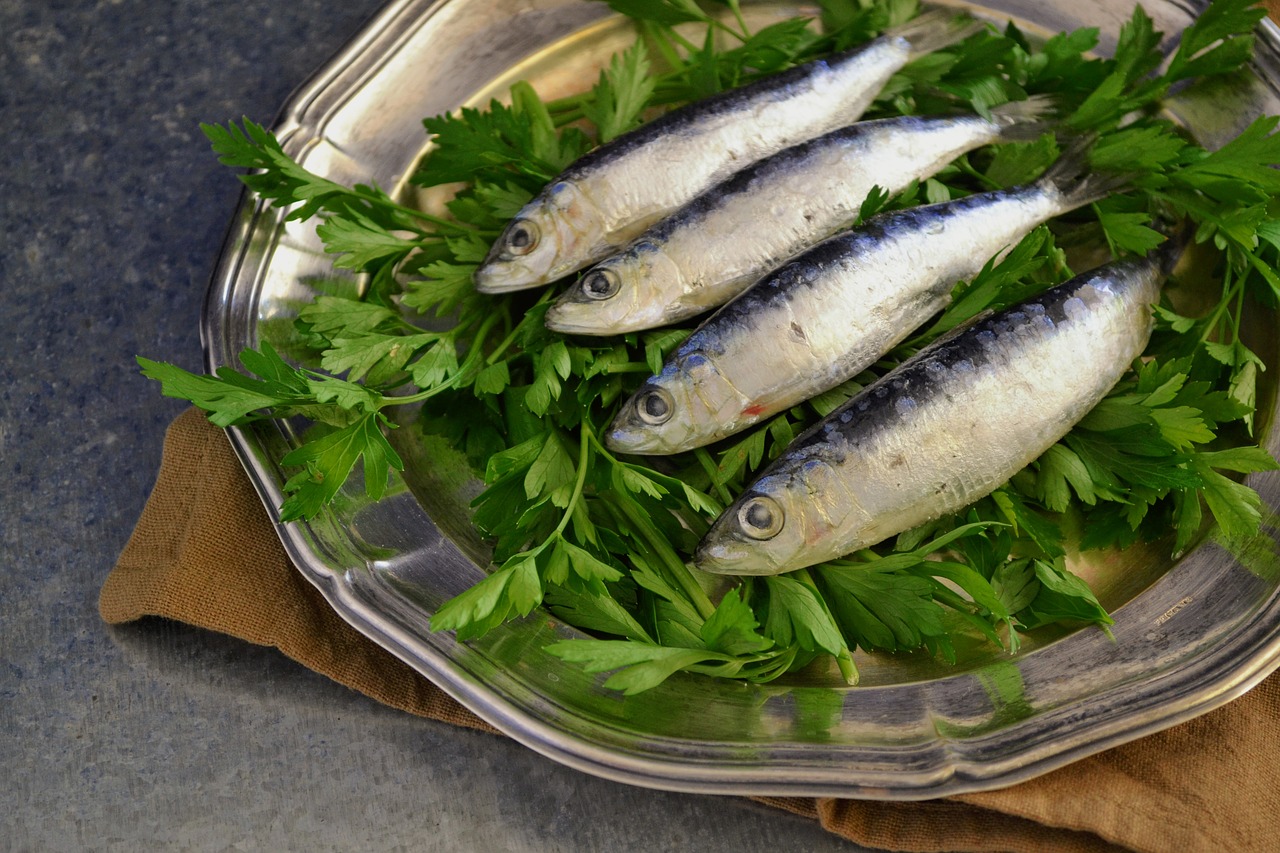 Manfaat Ikan Sarden