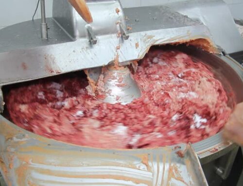 Cara Memilih dan Merawat Mesin Giling Daging untuk Usaha Bakso