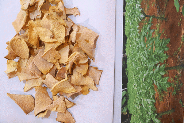 resep keripik porang