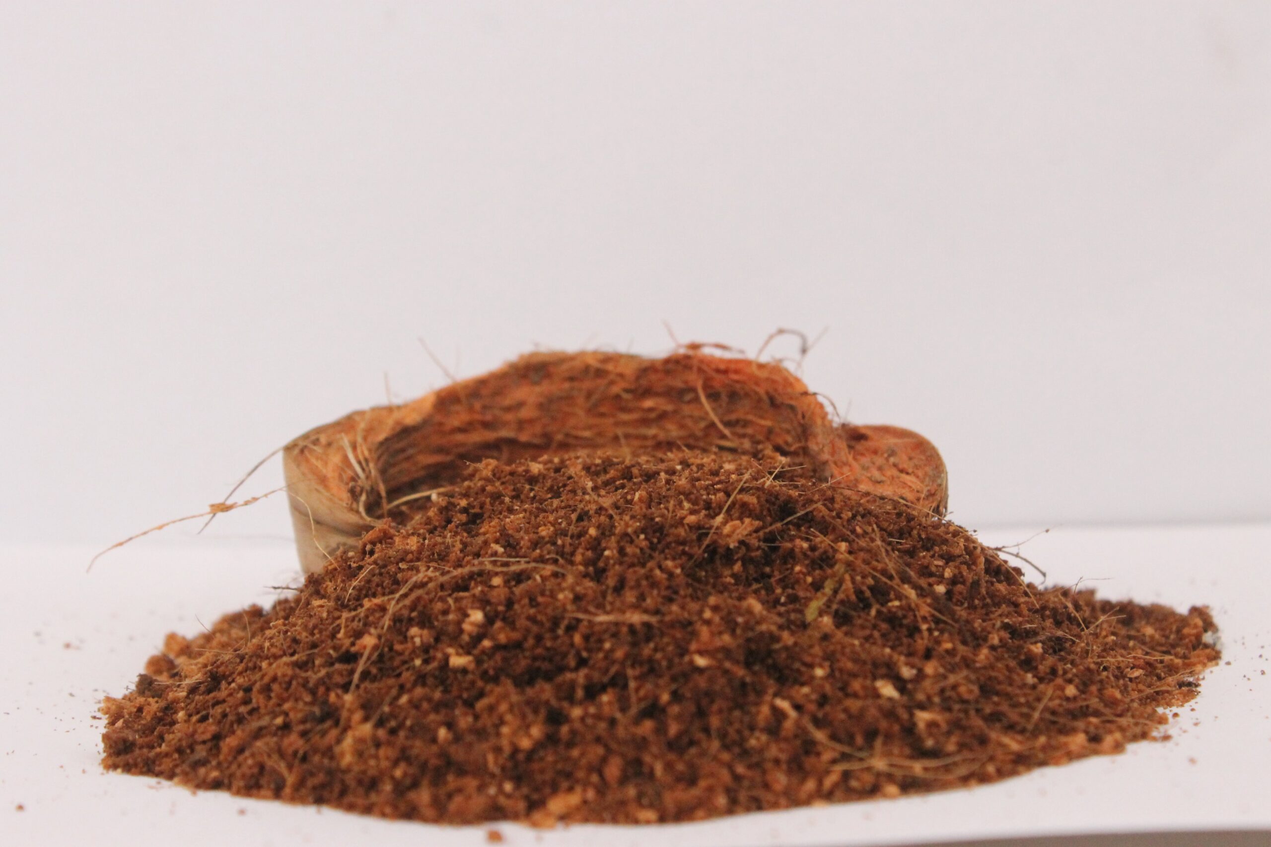 Cara Membuat Cocopeat dari Sabut Kelapa