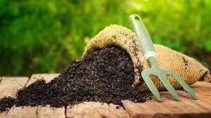 kompos rumput kering
