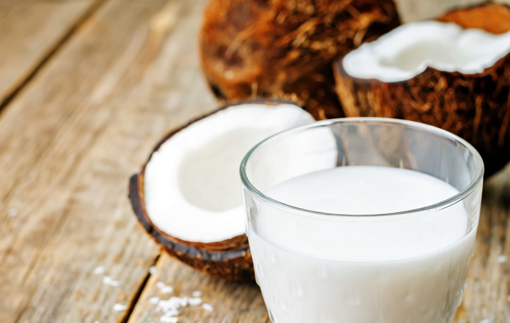 bisnis kelapa parut dan santan