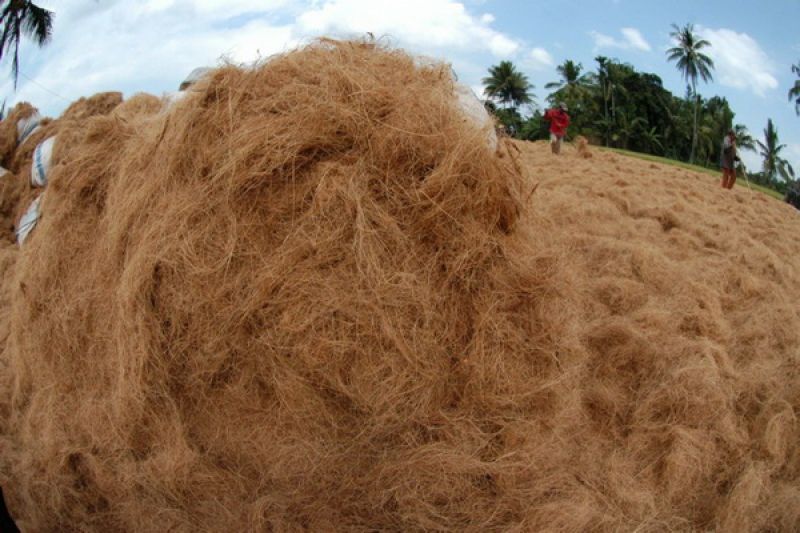 cara membuat pupuk dari sabut kelapa