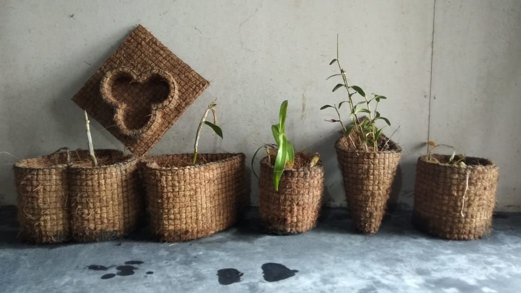 cara membuat vas bunga dari sabut kelapa