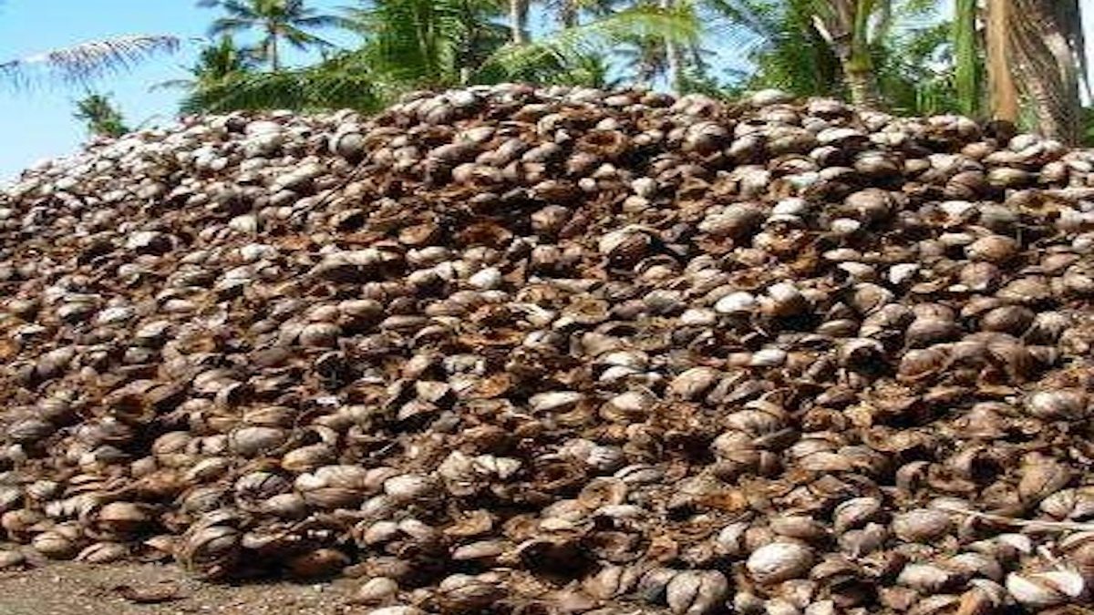 bisnis sabut kelapa