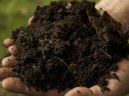 cara buat baja kompos dari rumput