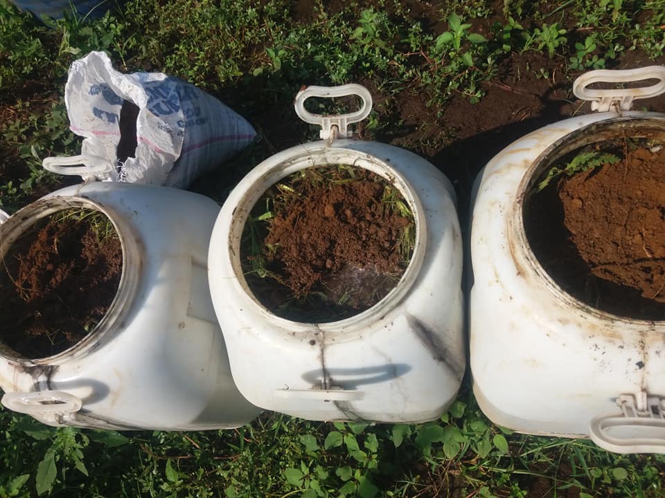 cara membuat kompos dari rumput kering