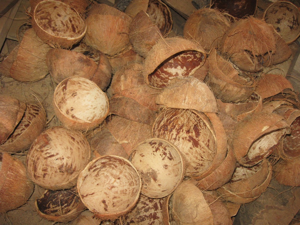 manfaat batok kelapa