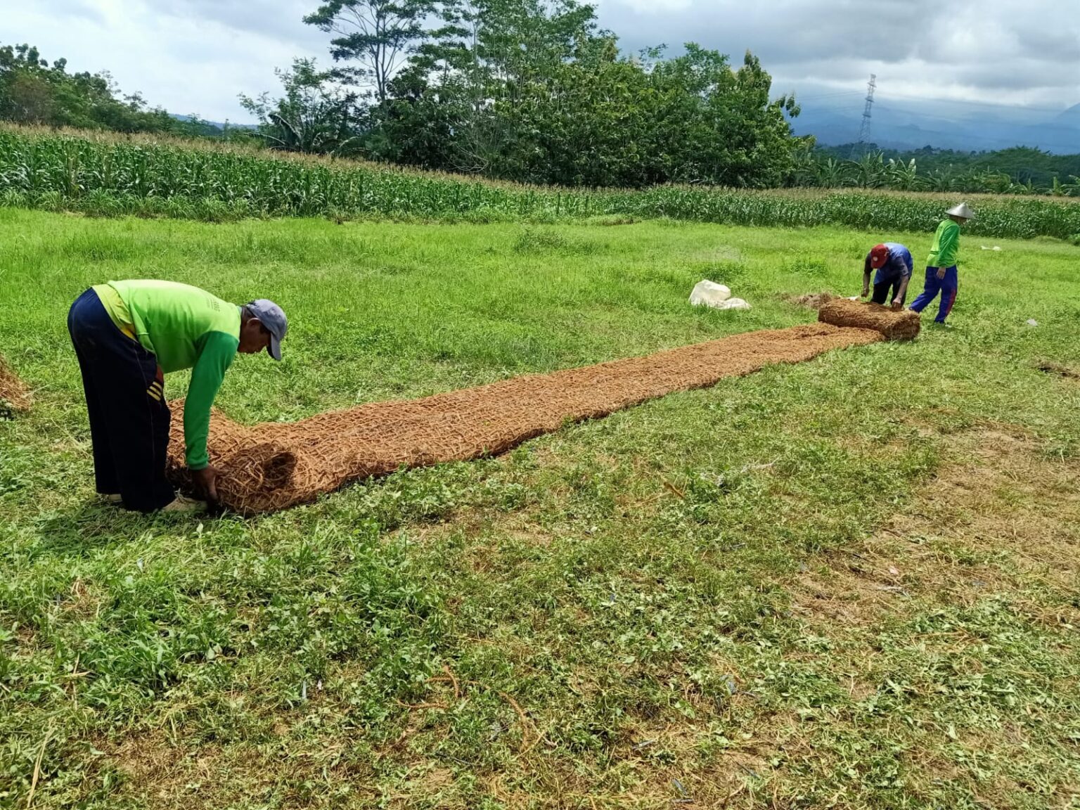 kesimpulan - bahan ramah lingkungan jaring sabut