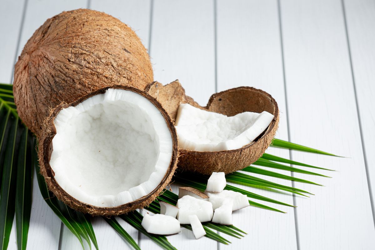 Olahan kelapa tua