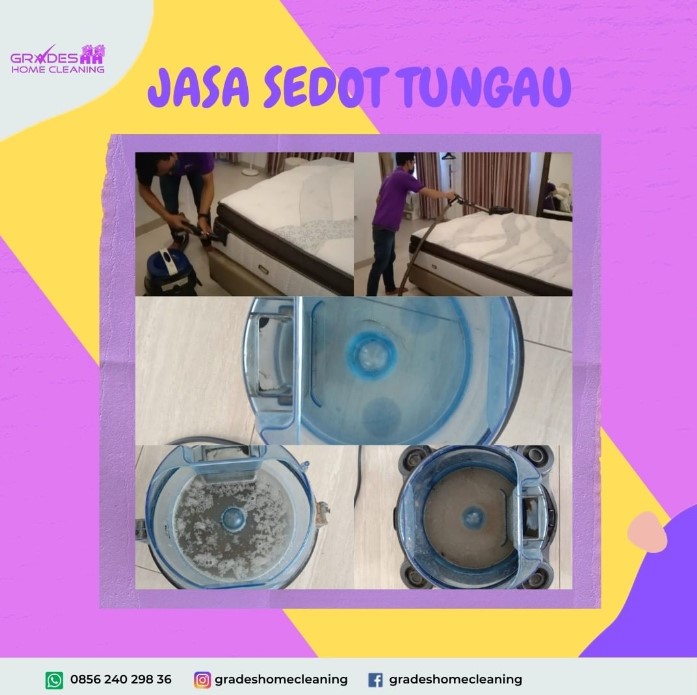 Penyebab Muncul Tungau
